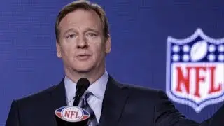 Report: NFL commissioner to testify at Ray Rice appeal