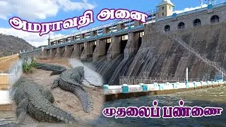 Amaravathi dam | அமராவதி அணை| Amaravathi | Amaravathi muthalai pannai |amaravathi dam crocodile park