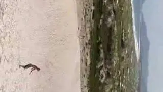The Technobedouin: Sandboarding in South Brazil