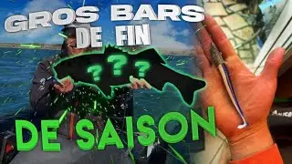P&ecirc;che du BAR rapide  : Enorme SURPRISE !