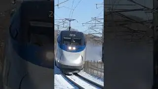 Amtrak Acela Express flies by in the Snow! #amtraktrain #snow #acelaexpress #railroad #highspeed