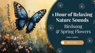 1 Hour of Relaxing Nature Sounds & Birdsong | Spring Flowers, Meadow Ambience & Soothing Sleep Music
