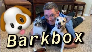 Barkbox December 2019