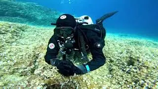 @Adriaticro Scuba Diving Safari 2023