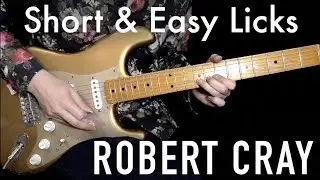 Blues Guitar Lesson: 