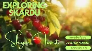 Explore SKARDU Episode 12 | Uncovering Hidden Beauty |Shigar Forest @mabvlogs- #shigarforest #shiger