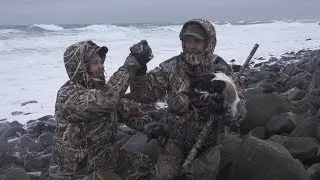 King Eiders in the Harsh Environment of Alaska's St. Paul Island &mdash; Browning Films Episode 5