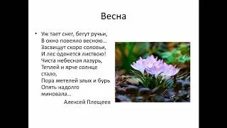 Времена года 6 класс