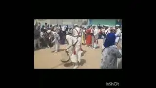 عشاق  الفن الشعبي الوجدي في مو سم الهدي بنعيسى الشيخ الكامل مكناس 2025