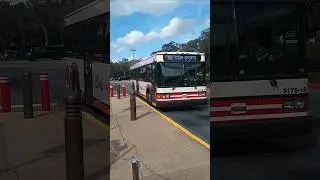 Upload #2000 Disney Bus arrives at Disney's All Star Sports Resort