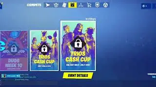 All 100 FORTBYTES LIT / FULL STYLE FOR SECRET SKIN