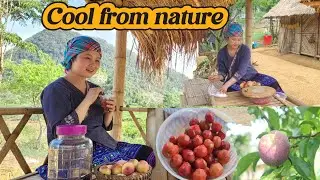 Surprisingly, Ly Pana's plum syrup recipe is something anyone can do