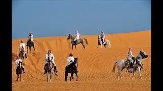 الملحمة العامرية للشاعر ناصر الفراعنة - يادار غض العود كيف الحال