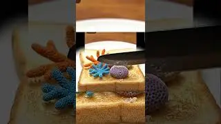 Satisfying Coral Crunch on Toast 🐚🍞 | Textural ASMR Delight