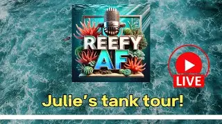 Reefy AF - Julie's Tank Tour