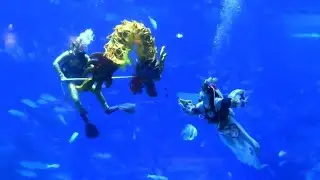 Underwater Lunar New Year celebration in Singapore