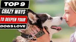 9 Crazy Ways to Deepen Your Dog's Love
