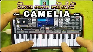 TUTORIAL | NOT CAMELIA ORG 2024 Android PemuLa