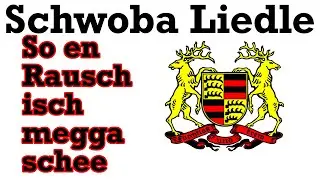So en Rausch isch megga schee | Schwäbisch - Schwabenrock Partysong Swabian Cantrysaufs