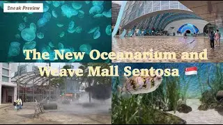 Visiting The New Oceanarium Singapore | Quick Dinner at Weave Mall @iamxuele #dailyvlog #lifestyle