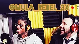 Mula Rebel Verse