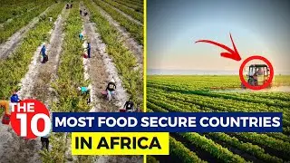 The 10 Most FOOD-SECURE Countries In Africa 2022...