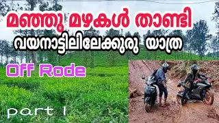 #വയനാട് യാത്ര#Wild Vaibe Home Stay#Wayanad#Kerala  Tourism#part1#