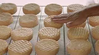 Fromagerie Berthaut - l'excellence de Bourgogne