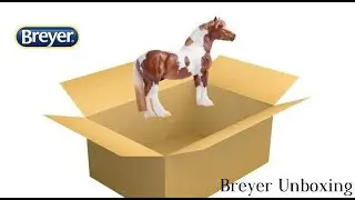 Breyer Collector Club Exclusive Model Honeybear Unboxing