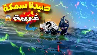 رحلة صيد في الأعماق🤿 تنتهي باصطياد سمكة ما عمري شفت بحالها!😱🐠