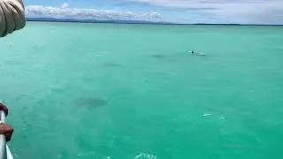 Jervis Bay Passage - Turquoise Water Dolphins