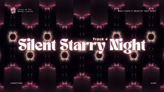 Silent Starry Night | What Does It Mean Of That Night | Songs of The Desert Stream