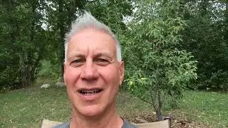 My personal story of why I promote Holistic Optometry