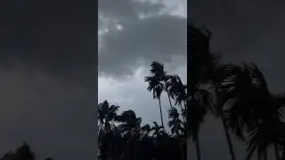 Rainy Weather Status | Rain Status Video | Whatsapp Status | #shorts