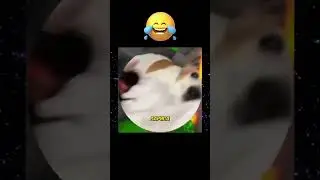 072310 #мемы #мемас #memes #шуточное #мемчик #топ #смешновидео #меме #юмор