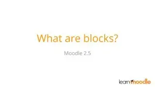 What are Moodle blocks?