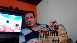 Calo no pé do trinca ferro vídeo 2