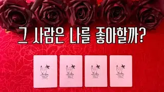 [타로] 🦋 그 사람은 나를 좋아할까?🥰