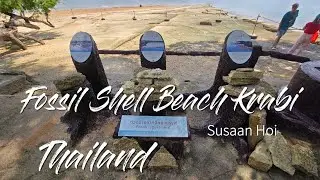 [4K] Walking Fossil Shell Beach Krabi (Susan Hoi) Thailand