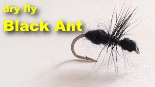 Должен иметь сухую муху Black Ant!