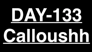 DAY 133