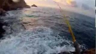 Shore Jigging alle Palamite