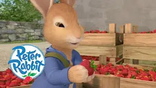 @OfficialPeterRabbit - Delicious Strawberries 🍓 | Food Adventures | Cartoons for Kids