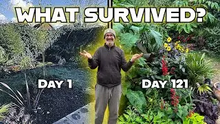 I Planted Exotic Jungle Plants in the UK&mdash;This Happened in 2025