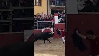Toro cerril Baltasar Ib&aacute;n en Benassal (ESPECT&Aacute;CULAR)