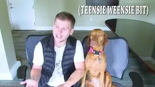 [0cutsgiven]Kicked Out Of Hotel Because Of My Service Dog