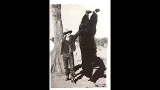 Vintage Hunting photos