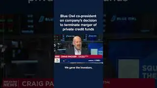 Blue Owl co-president on company's decision to terminate merger of private credit funds
