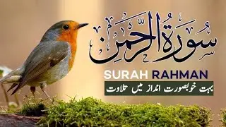 Surah Al Rehman Full |Al Rehman | EP 002 |سورة الرحمان  SurahRahman With Text | Quran