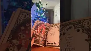 nothing feels cozier than reading Harry Potter book by Christmas tree 🎄best way to enjoy the season